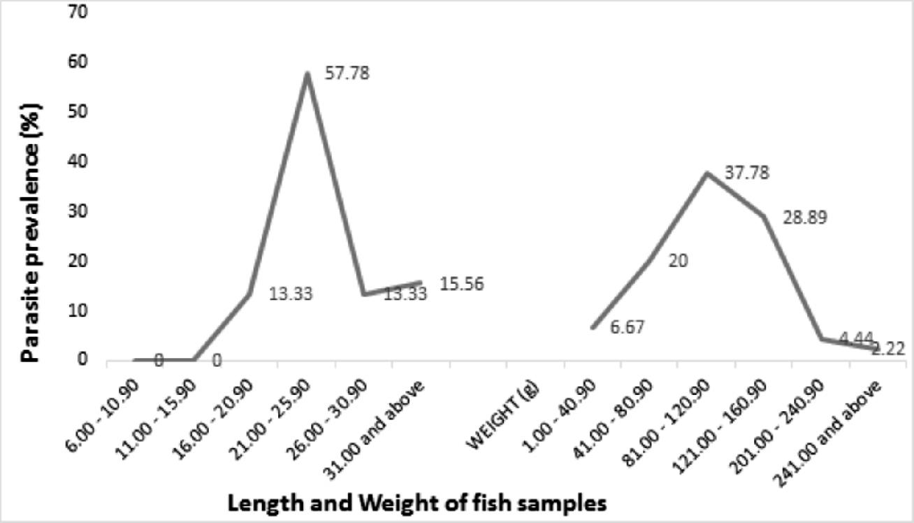 length and weight of fish